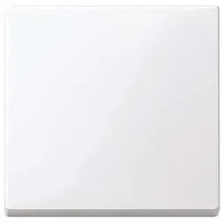 Merten Wippe aws/gl 432125