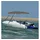 vidaXL Sonnenschutz 4-Bow Bimini Top 243 x 180 x 137 cm Grau
