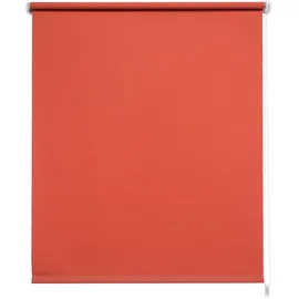 LIEDECO Seitenzugrollo Uni 62 x 180 cm terrakotta