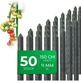 Novatool Pflanzstab 150 cm 50 Stück