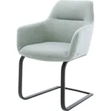 DeLife Schwingstuhl Pejo-Flex Stripes Mint Freischwinger flach Schwarz