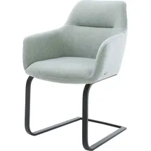 DeLife Schwingstuhl Pejo-Flex Stripes Mint Freischwinger flach Schwarz