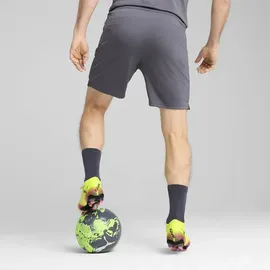 Puma individualCUP Shorts S