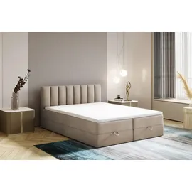 Trada City 160 x 200 cm Hellbeige