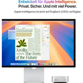 Apple Mac mini M4 2024 16 GB RAM 1 TB SSD 10-Core GPU CZ1CG-001000