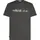 Icebreaker Merino 150 Tech Lite The Peaks grau M
