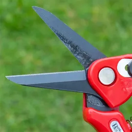 Fritz Göbel Klauenschere gezahnt für Schafe & Ziegen rot