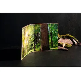Herma Motivordner 'Nature' DIN A4 70 mm Braun 1 St.