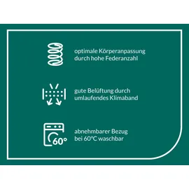 f.a.n. frankenstolz ProVita First Class T 90 x 200 cm H2 Polyester Bezug