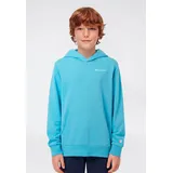Champion Hoodie Blue 164