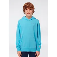 Champion Hoodie Blue 164