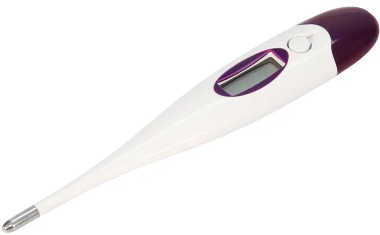 Digitalthermometer - schnellmessend und präzise mit starrer Sonde, lila