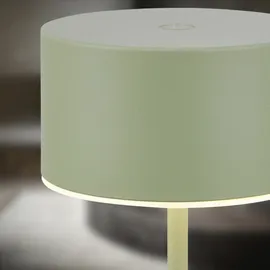 Briloner Tischlampe Salbeigrün
