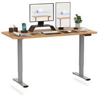 FLEXISPOT Schreibtisch EB2-SET, Höhenverstellbarer Schreibtisch, Dual-Motor & 2-FACH-TELESKOP grau 160 cm x 80 cm