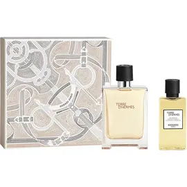 Hermès Terre Eau de Toilette 100 ml + Duschgel 80 ml Geschenkset