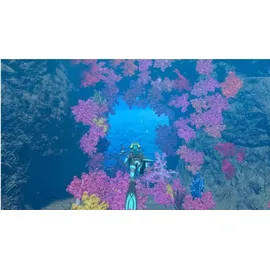 Endless Ocean Luminous - Edition - (PEGI) (Nintendo Switch)