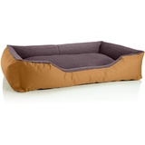 BedDog Hundebett Teddy, Hundesofa aus Cordura und Microfaser-Velours, waschbares Hundebett mit Rand, Hundekissen Vier-eckig, für drinnen, draußen, Größe XXL, Gold-braun