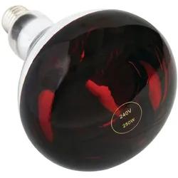 Wärmelampe rot 250W