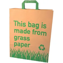 250 Graspapier Tragetaschen Papiertragetaschen mit Grasanteil 32+12x40cm mit Neutralmotiv