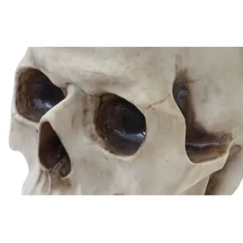 Mendler Beistelltisch Totenkopf Beige Polyresin 55 x 55 x 52 cm