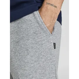 JACK & JONES JPSTBRADLEY Sweat Shorts SN GMS