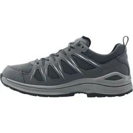 Lowa Innox EVO II GTX grau/grau 42,5