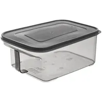 Orion Küchenbehälter Lebensmittelbehälter Vorratsdose für Frühstücksflocken Grütze Mehl Nudeln Zucker lose Produkte mit Deckel Tragegriff 2,... - Grau