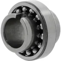 NKE Pendelkugellager 11211 -TV ID 55mm AD 100mm Breite60mm