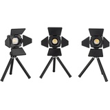 SmallRig RM01 mini LED-Videolicht Kit