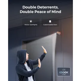 Reolink CX410 Schwarz