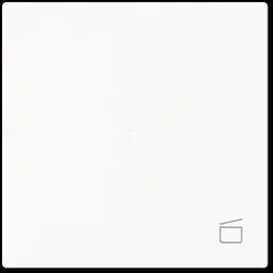 BUSCH-JAEGER Wippe 1-fach mit Symbol 6233-10-44M