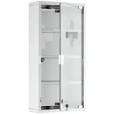 furnicato Medizinschrank Arzneischrank Edelstahl 30x12x60 cm (1-St) silberfarben