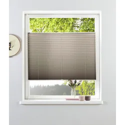 Bruno Banani Plissee »Lagos« Lichtschutz ohne Bohren verspannt Fixmaß, Bestseller mit über 500 4,5-Sterne-Bewertungen, Klemmträger Bruno Banani hellbraun 130 cm