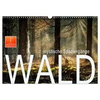 Calvendo Wald - mystische Spaziergänge (Wandkalender 2026 DIN A3