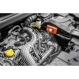 LAS Marderabwehrgerät Hochspannung + Ultraschall 85dB 12/24V DC