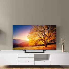 Smart-Tech 55QG06K