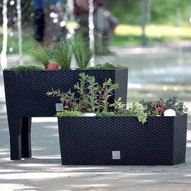 Prosperplast Rato Case 51,4 x 19 x 18,65 cm Anthrazit