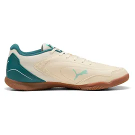 Puma Truco IV Hallenschuhe Herren Braun/Schwarz 47