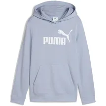 Puma Mädchen ESS No. 1 Logo Hoodie TR G Kapuzenpullis, Cool Weather, 128