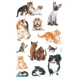Schmucketikett Katzenbabys ZWECKFORM 53574