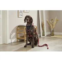 Wolters Professional Comfort Hundegeschirr rost rot 60-70 cm