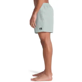 QUIKSILVER Everyday Deluxe Badeshorts Grün XXL