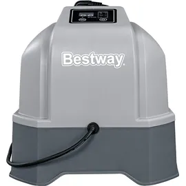 BESTWAY Salzwasseranlage Hydrogenic 12 g/h grau