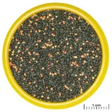 JBL PRONOVO Guppy Grano S 100 ml Click 56 g