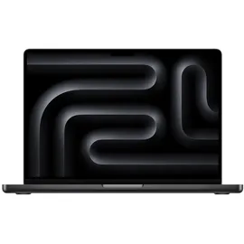 Apple MacBook Pro (14") space schwarz
