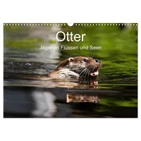 Calvendo Otter - Jäger an Flüssen und Seen (Wandkalender