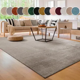 Paco Home Cadiz 630 Kurzflorteppich 80 x 150 cm grau 