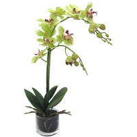 Kunstblumen PHALENOPSIS (Orchidee) im runden Glas. Mit 2 Orchideen-Trieben. Ca 52 cm. GRÜN - ROT -57