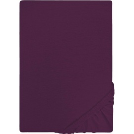 Castell Spannbettlaken Jersey 180 x 200 - 200 x 200 cm dunkel violett