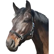 ELDORADO Pferde-Halfter Standard Schwarz Warmblut